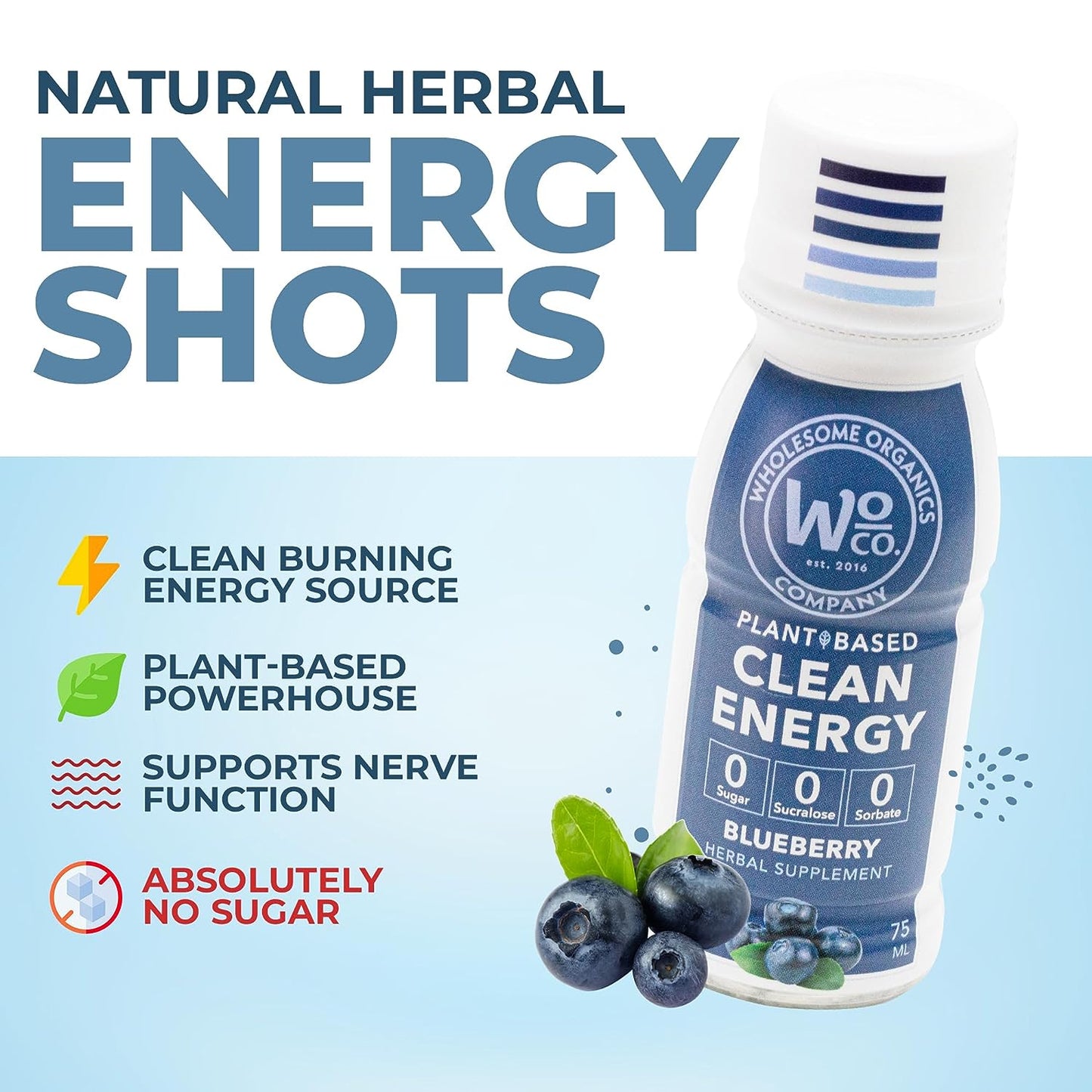 Healthy Energy Shots | Blue Raspberry 12 Pack