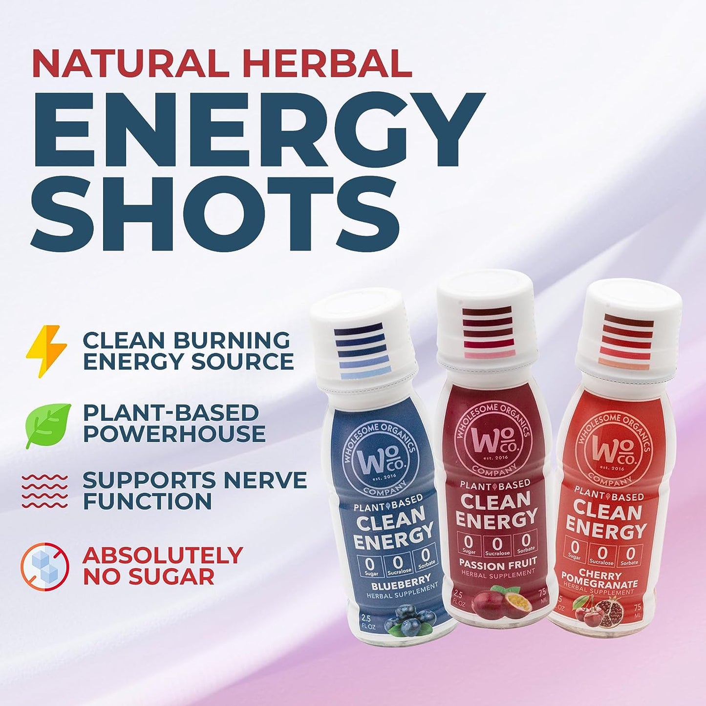 Healthy Energy Shots | Variety | 12 Pack